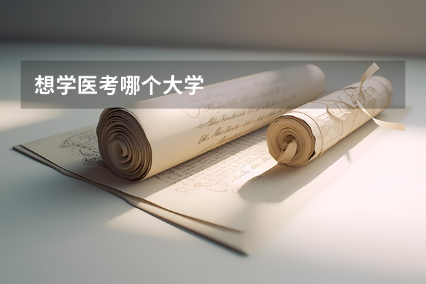 想学医考哪个大学