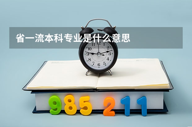 省一流本科专业是什么意思