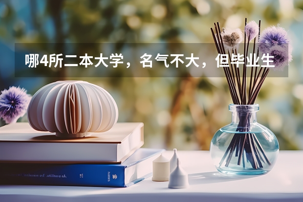 哪4所二本大学，名气不大，但毕业生就业率很高？（全国二本就业率最高的大学）
