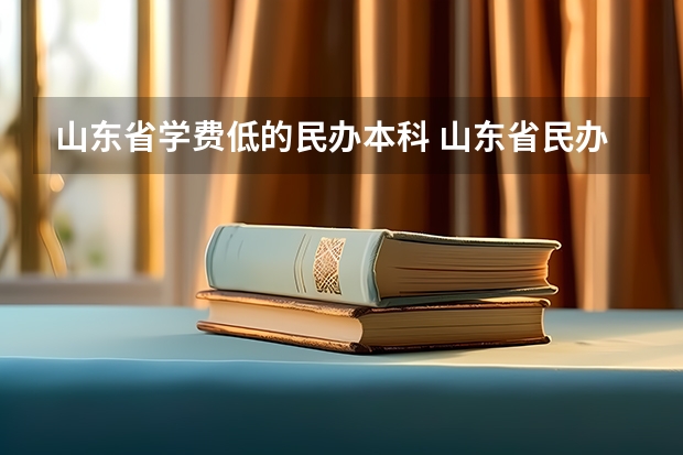 山东省学费低的民办本科 山东省民办学校排名