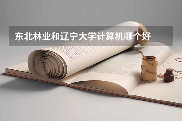 东北林业和辽宁大学计算机哪个好