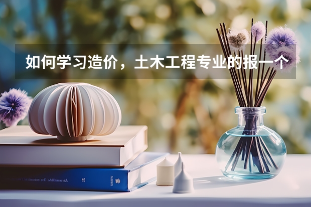 如何学习造价，土木工程专业的报一个造价实操班能否上手？杭州有好一点的培训班推荐吗？