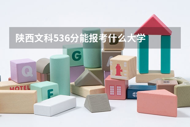陕西文科536分能报考什么大学
