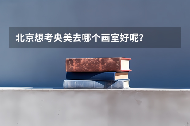 北京想考央美去哪个画室好呢？