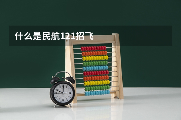 什么是民航121招飞