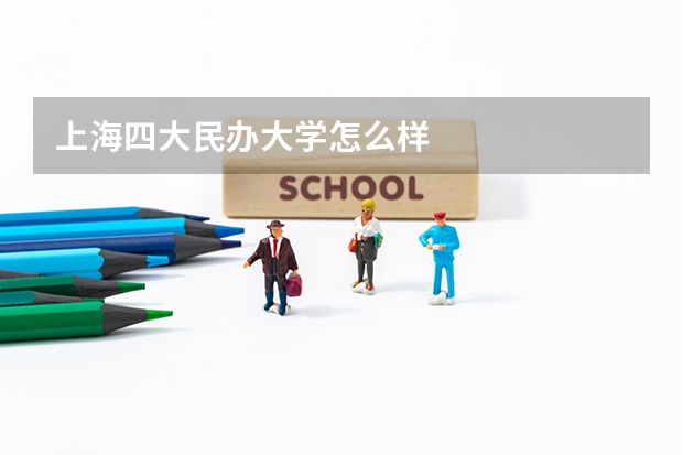 上海四大民办大学怎么样