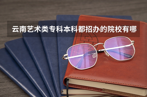 云南艺术类专科本科都招办的院校有哪些