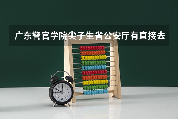 广东警官学院尖子生省公安厅有直接去招警吗