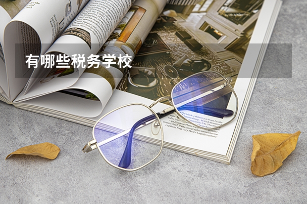 有哪些税务学校