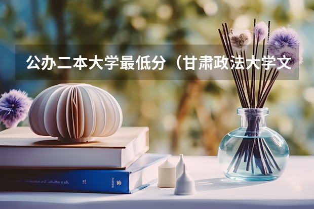 公办二本大学最低分（甘肃政法大学文科二本录取分数）