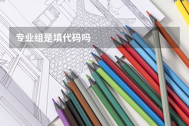 专业组是填代码吗