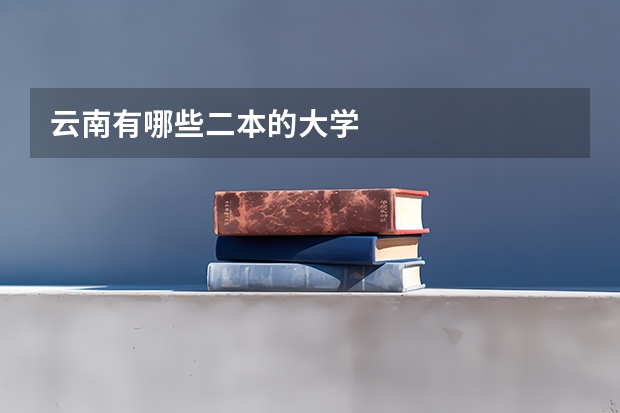 云南有哪些二本的大学