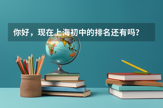 你好，现在上海初中的排名还有吗？