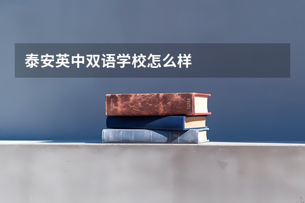 泰安英中双语学校怎么样