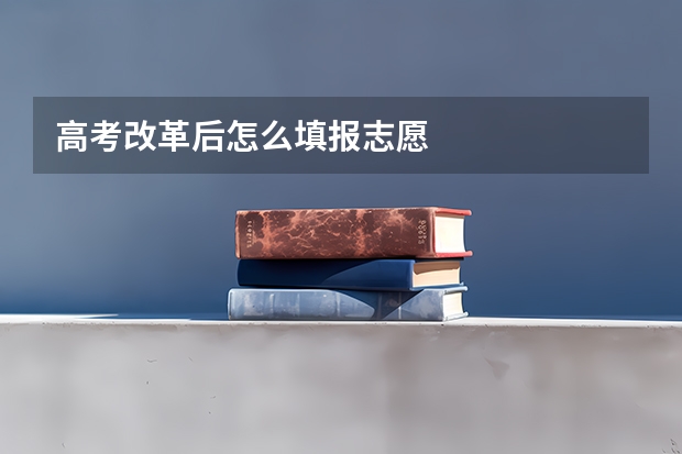 高考改革后怎么填报志愿