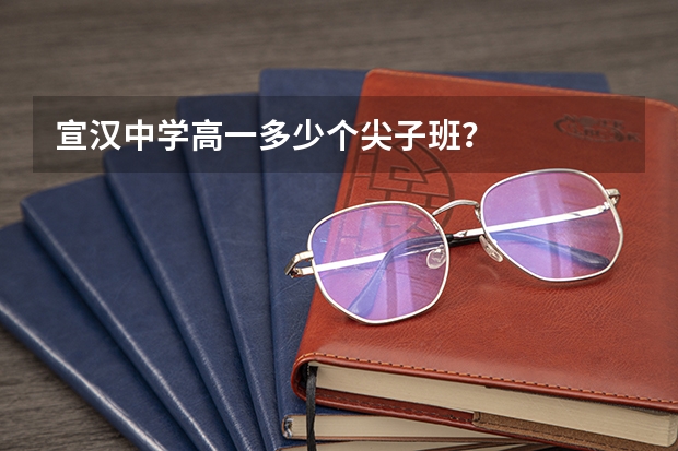 宣汉中学高一多少个尖子班？
