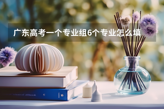 广东高考一个专业组6个专业怎么填