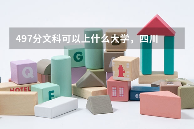 497分文科可以上什么大学，四川