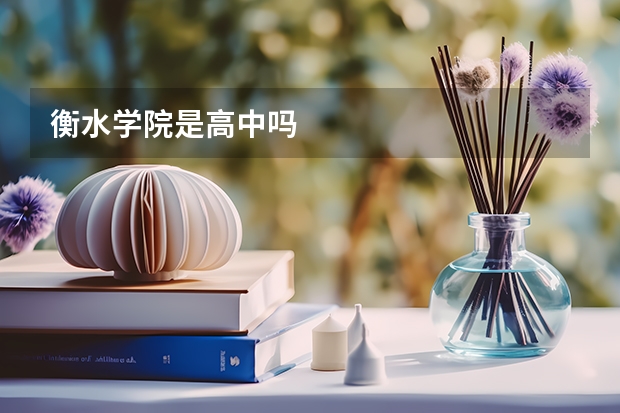 衡水学院是高中吗