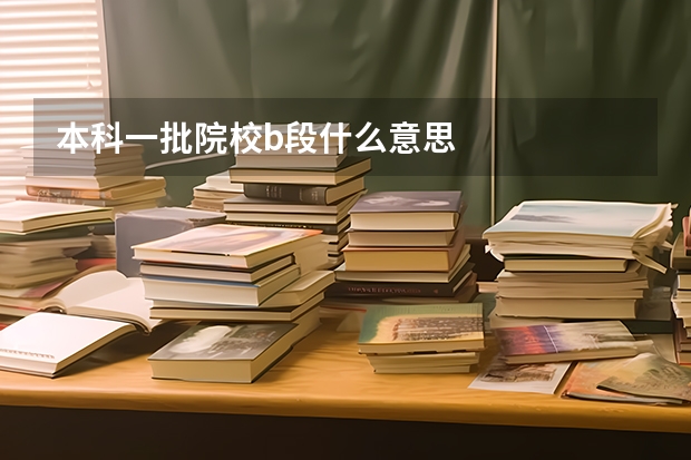 本科一批院校b段什么意思