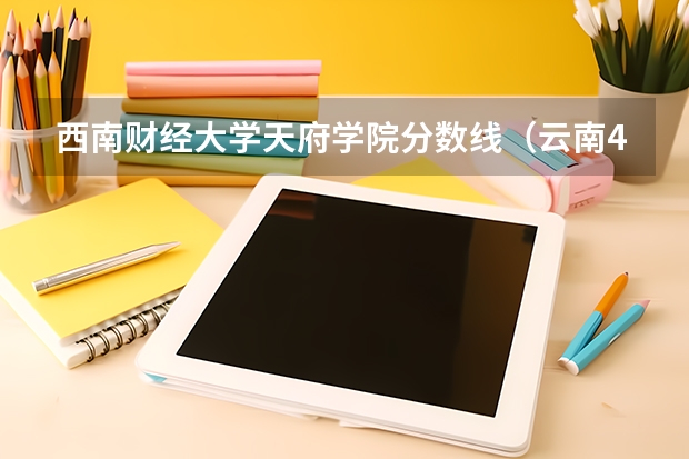 西南财经大学天府学院分数线（云南480文科能上的二本大学）