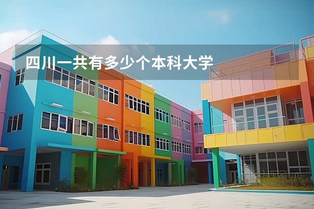 四川一共有多少个本科大学