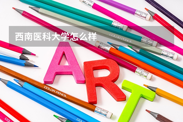 西南医科大学怎么样