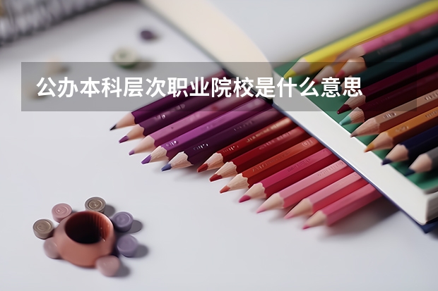 公办本科层次职业院校是什么意思