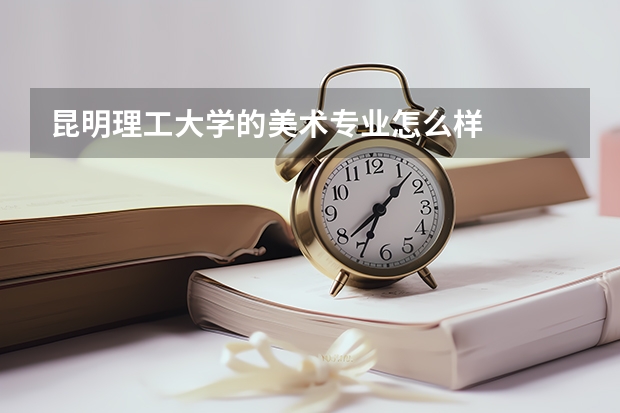 昆明理工大学的美术专业怎么样