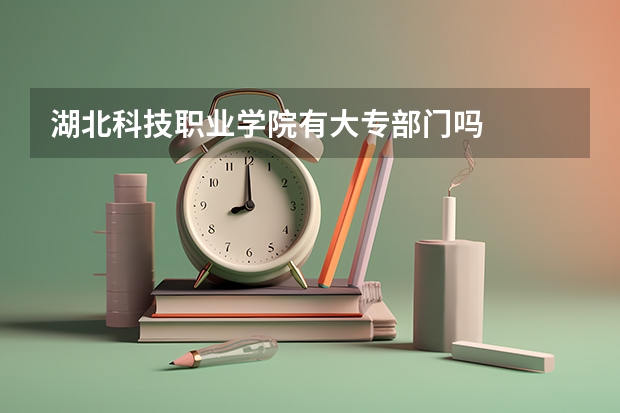 湖北科技职业学院有大专部门吗