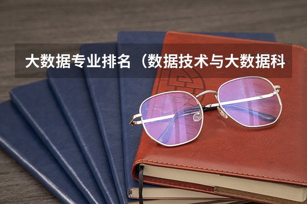 大数据专业排名（数据技术与大数据科学专业大学排名）