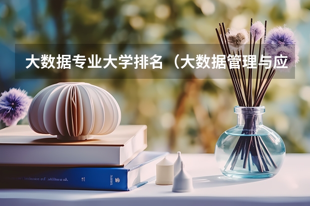 大数据专业大学排名（大数据管理与应用学校排名）