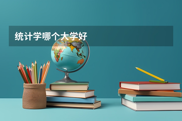 统计学哪个大学好