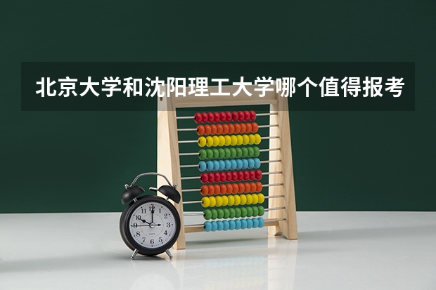 北京大学和沈阳理工大学哪个值得报考（录取分数线对比）