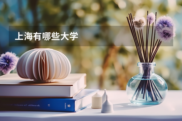 上海有哪些大学