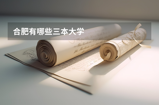 合肥有哪些三本大学