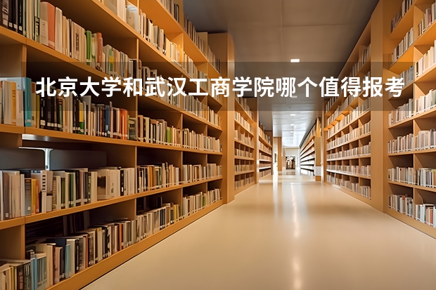 北京大学和武汉工商学院哪个值得报考（录取分数线对比）