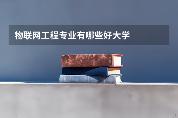 物联网工程专业有哪些好大学