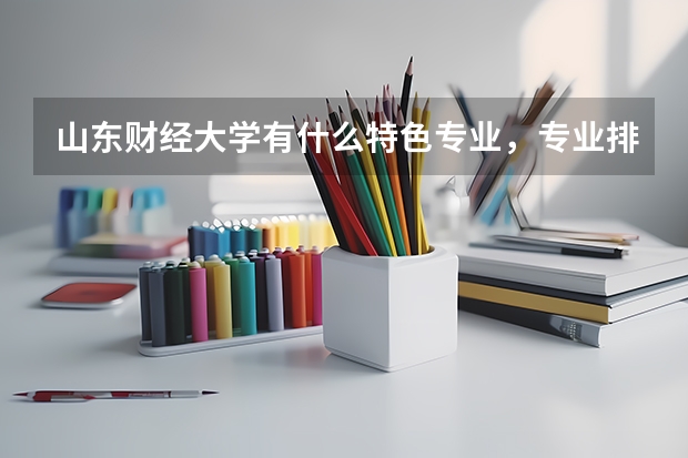 山东财经大学有什么特色专业，专业排名如何