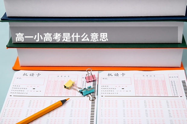 高一小高考是什么意思
