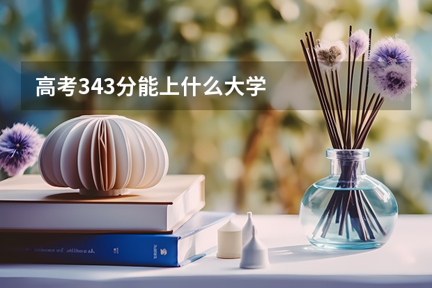 高考343分能上什么大学