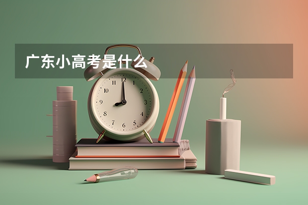 广东小高考是什么