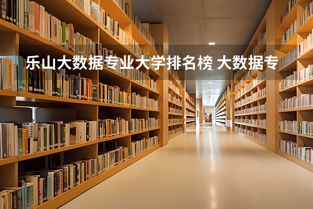 乐山大数据专业大学排名榜 大数据专业排名