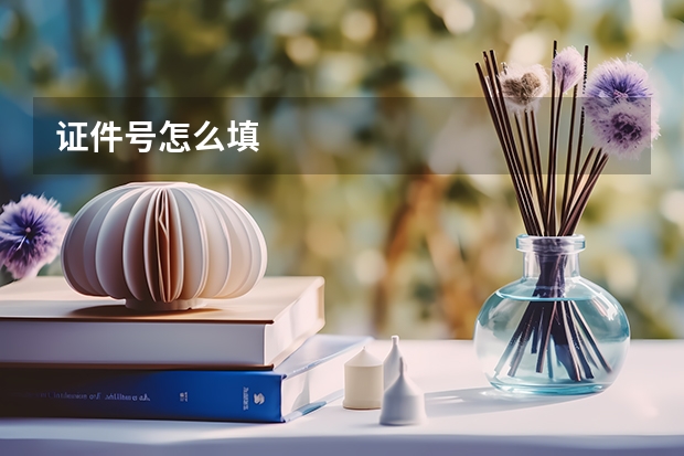 证件号怎么填
