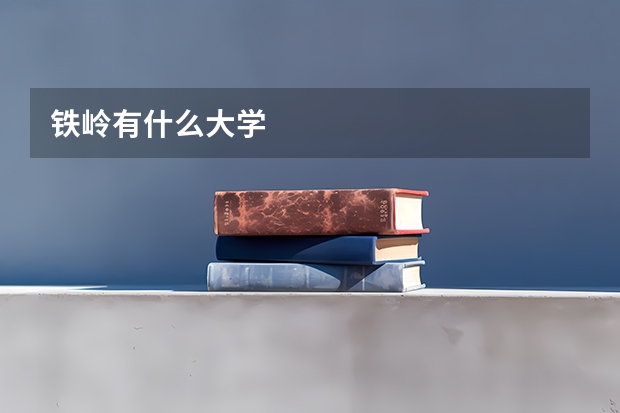铁岭有什么大学
