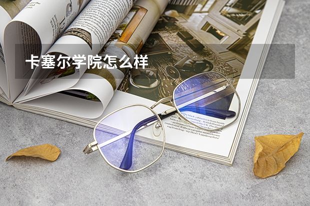 卡塞尔学院怎么样