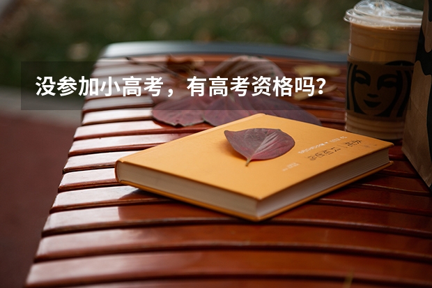 没参加小高考，有高考资格吗？