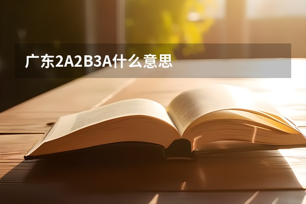 广东2A2B3A什么意思