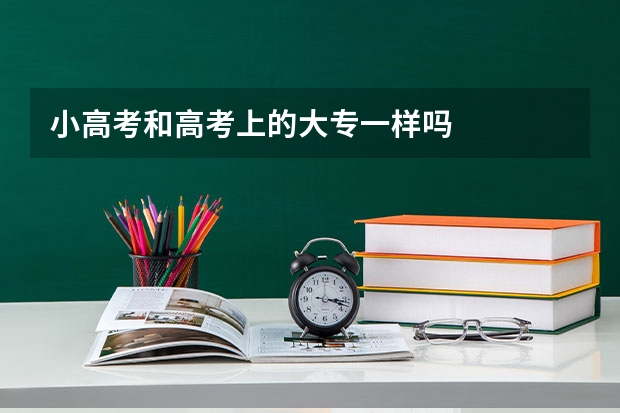 小高考和高考上的大专一样吗