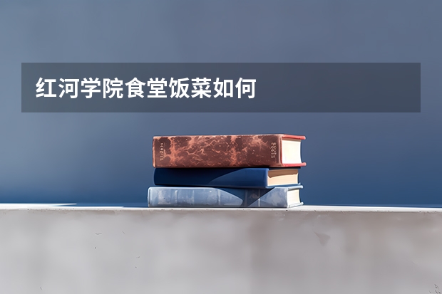 红河学院食堂饭菜如何
